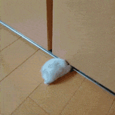搞笑gif:妹子,为何要深呼吸呀