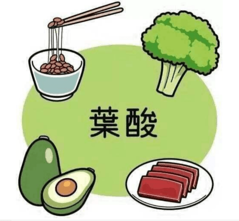 哪些人适合吃叶酸 eac222633d15431fa64f53e39585bff9.png
