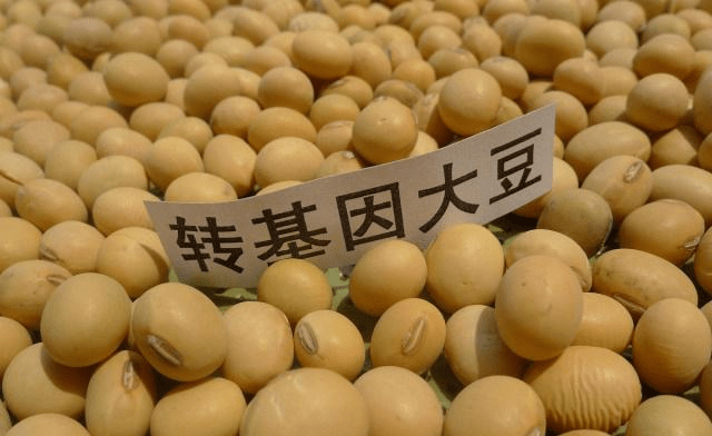 fd5c80c10bad490c8f199c7b51816458.png