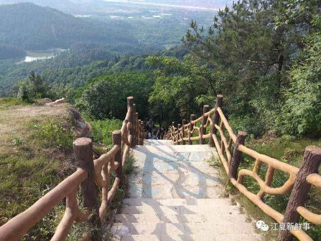八分山位于江夏纸坊,海拔约276米,有"武汉最具自然特色的山"之誉