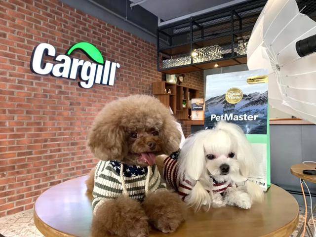 “千万房租补贴门店”,佩玛思特发起宠物店扶持计划 “千万房租补贴门店”,佩玛思特发起宠物店扶持计划