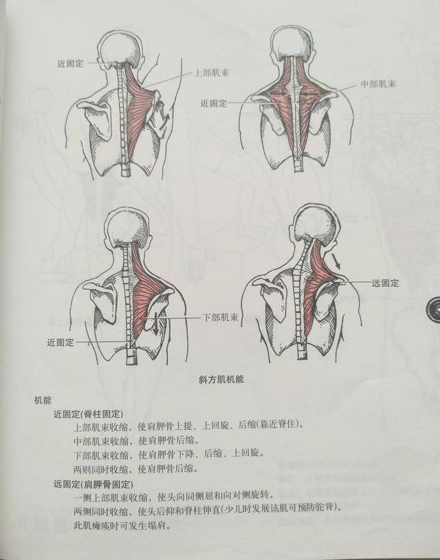 109edbc9a9764795bb9e5d48d054b544.jpeg