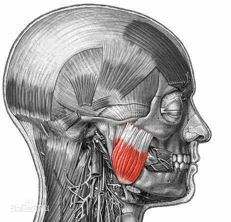 嚼东西疼痛,大小脸,面部不对称?你是颞颌关节紊乱了