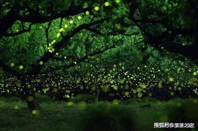 6987b628c5724339a73d801432cb88a5.jpeg