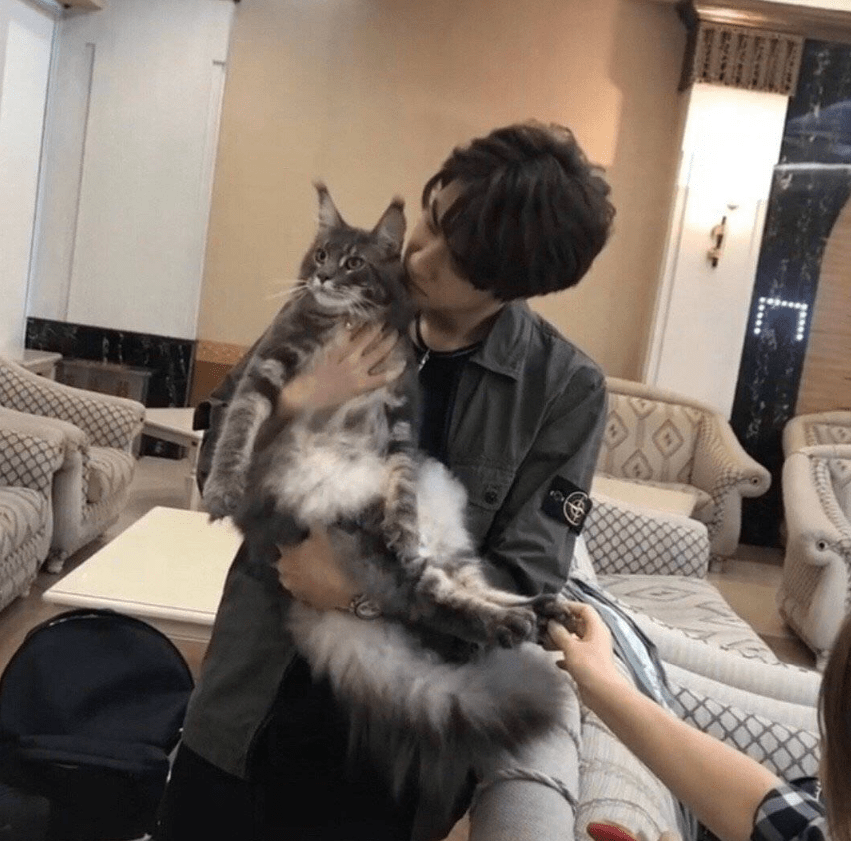 王一博"见缝插针"式发展爱好,满意当下生活,想养猫狗透露品种