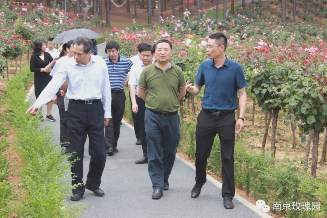 农业农村部,省农业农村厅领导一行莅临南京玫瑰园考察