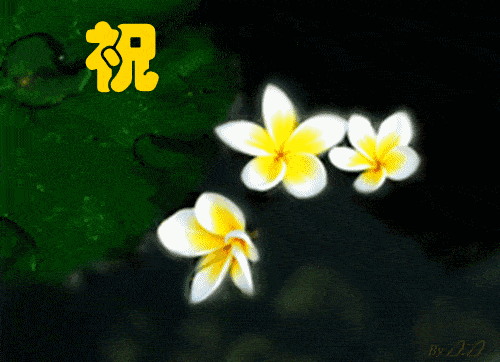 晚安动态表情包合集