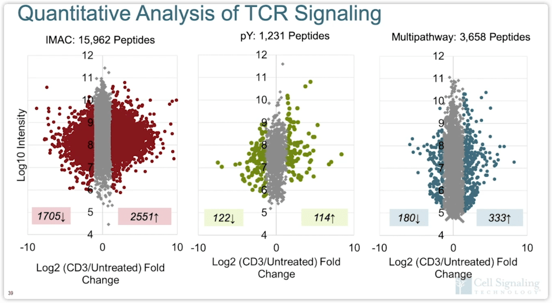 通量gdp_电通量试验仪器照片(2)