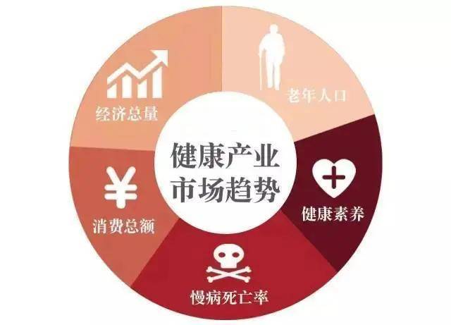 我国健康产业链主要有五大基本产业链有专家表示大健康产业将继it