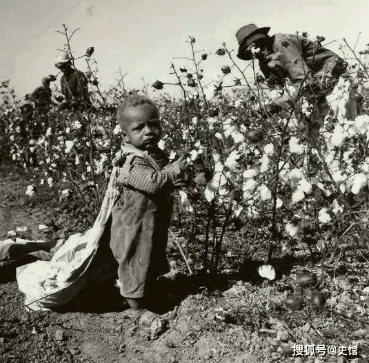 非裔人口是指_人口普查