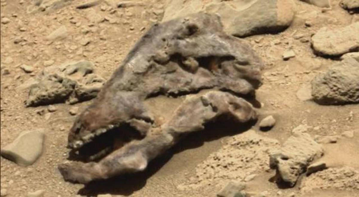 奇闻:火星现恐龙化石?美国"好奇"号传照片,疑现未知生物骨骸