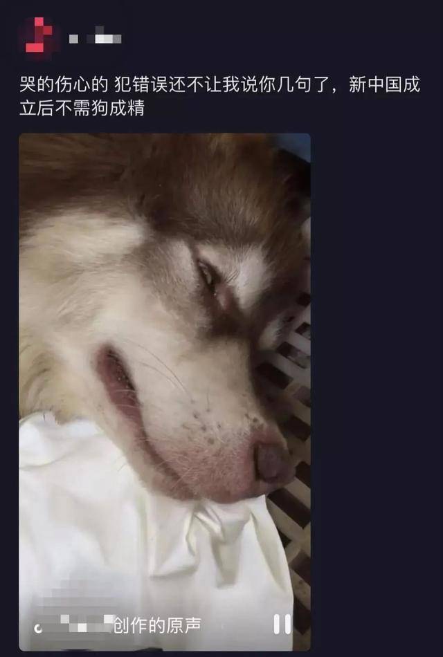 cfc20c5f47864884bf297c09092043c7.jpeg