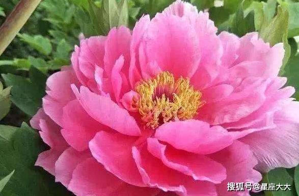 1c4b16cc4a5840c1b9a9bca86bc4a969.jpeg