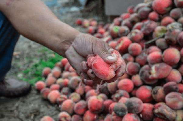 甲醛|许多家长还不在意,请别再给孩子吃超市可能含有大量甲醛的水果