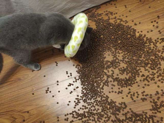 62b82dd75e924b3a9eab381845e4b192.jpeg