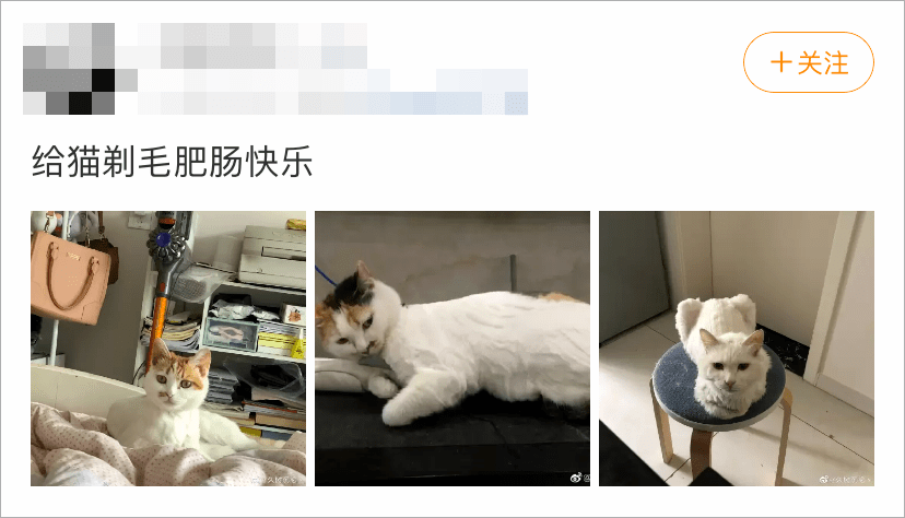 78591b99a0fb46b1984bdca9f30d0643.png