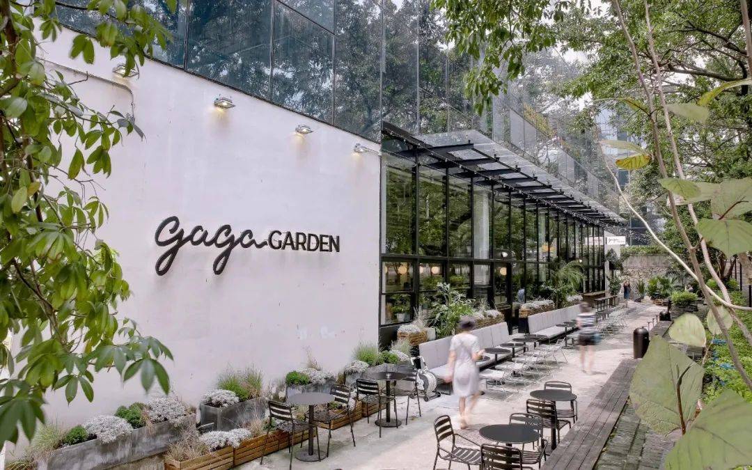 轻餐饮品牌gaga鲜语是如何在疫情阴霾下火爆增长的