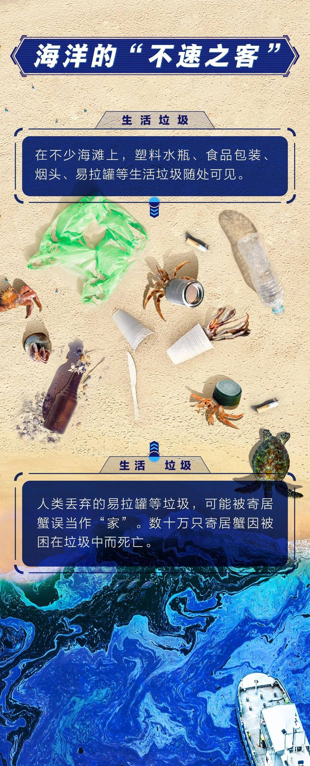 世界海洋日丨保护红树林保护海洋生态