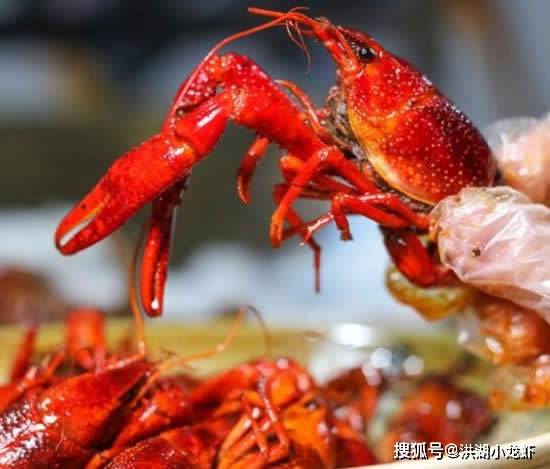 虾为啥不能跟番茄一起吃 320a882954c2468c8e4499e192bef1c9.jpeg