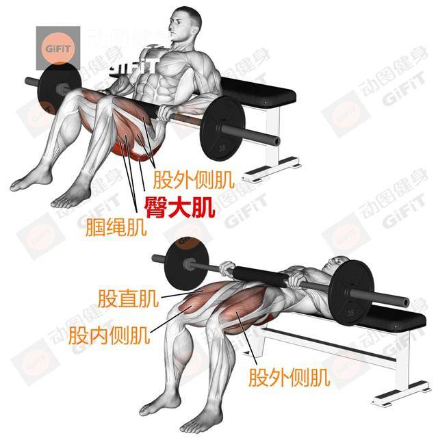 46ff8f512bcf4305bef10eb664c67aac.jpeg