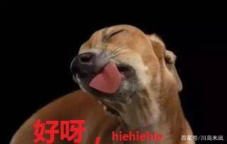 c576271927114cf1a7f3d7fdb092e949.jpeg
