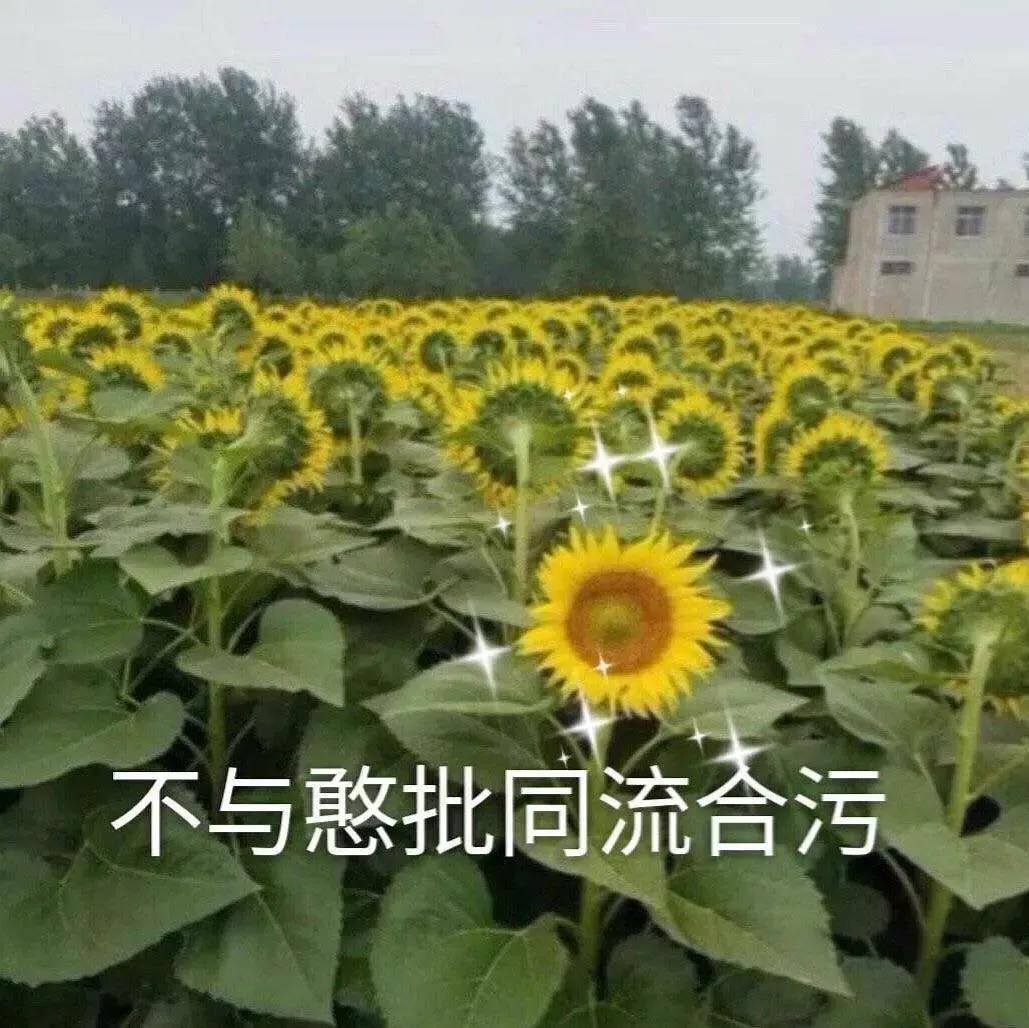 fb288650e08b4c59a3c6c5b2891f338e.jpeg