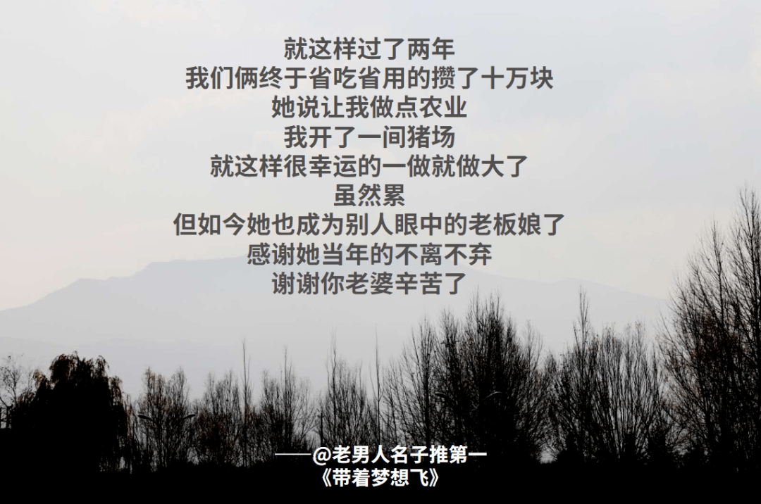 我的文案灵感库网易云乐评