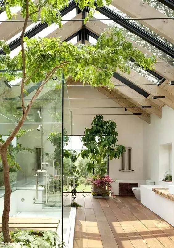 室内绿植景观 ad817976a4fa4fe19dfb67c3c198a0ee.jpeg