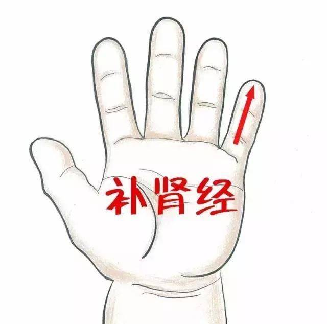 黄又稀|捏积派——宝宝头发又黄又稀原因有哪些？如何调理头发稀黄？