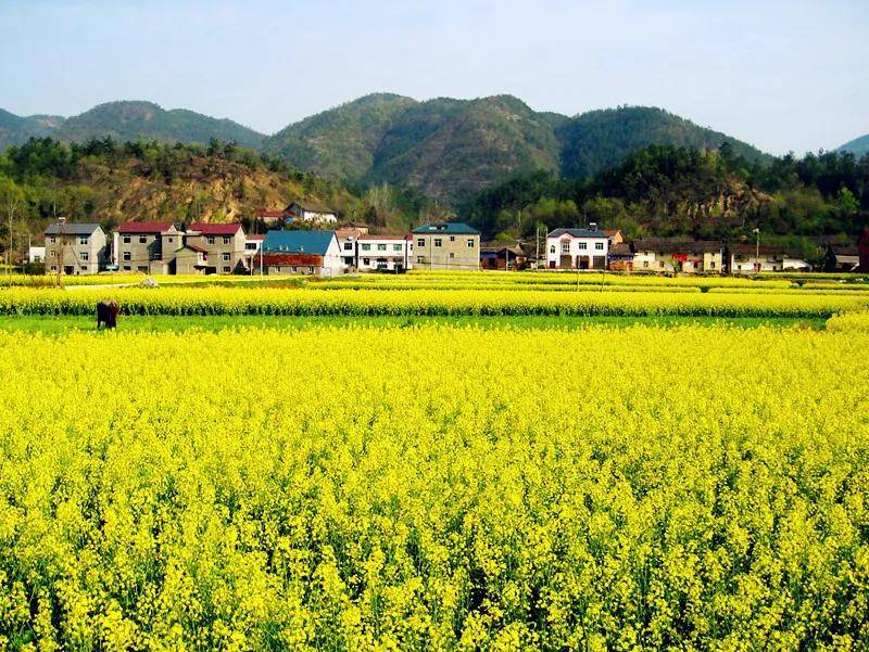 襄阳市保康县店垭镇格栏坪村(图/湖北省人民政府网)