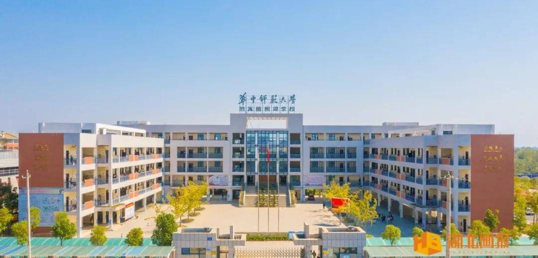 华师梧桐湖学校