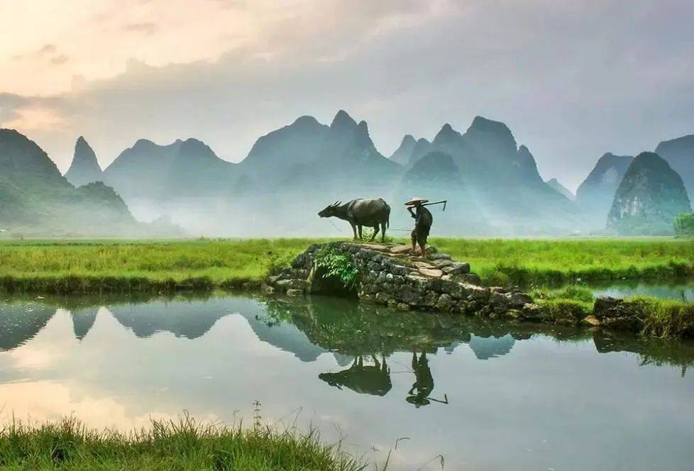 点击查看原图