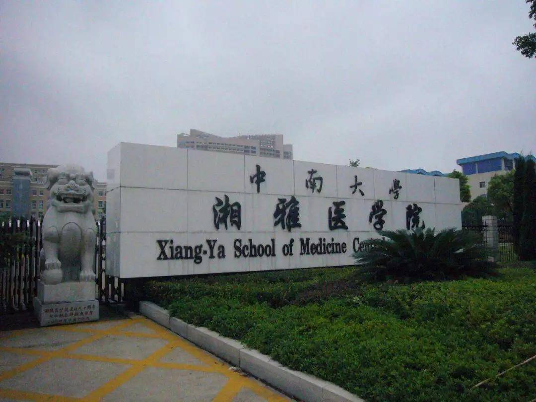 想当医生不敢报协和,何不考虑这两所医学院,排名前十但分数不高