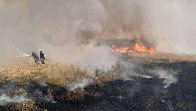 放火焚烧大片农田，成千上万居民无粮可吃，美