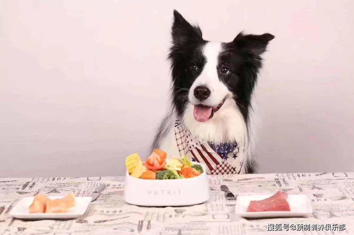 宠主们平时可以给狗狗喂些富含维生素a,维生素b的蔬菜水果,例如苹果