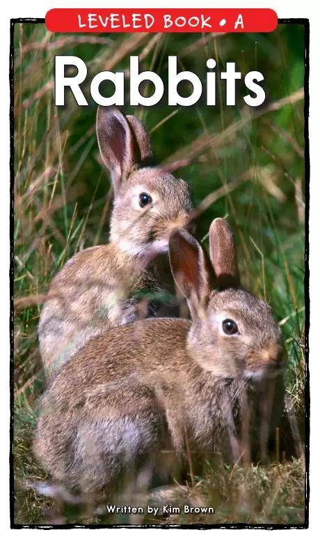 伴读| raz a:rabbits