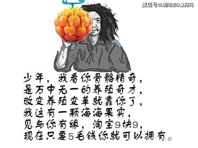 海贼王海海果实