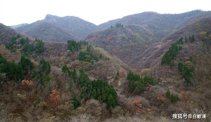 邹平鹤伴山夏日游记,一段宁静之旅