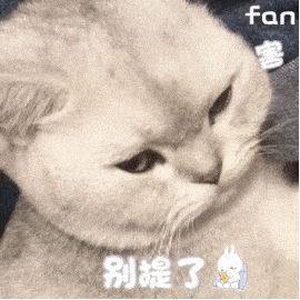 日常沙雕表情包更新:一看就不是什么好人