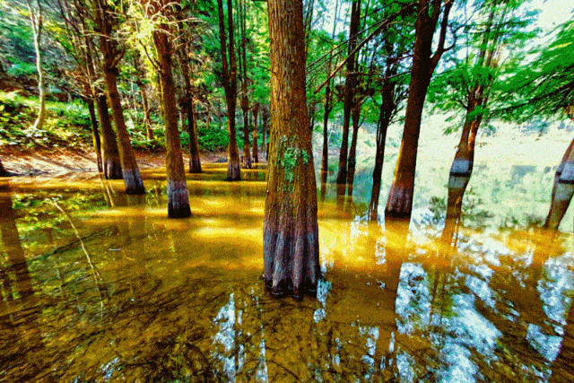 长沙九寨沟抖音爆火!开启导航却犯了迷糊!_新景点
