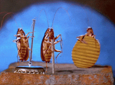 ccbe699798e4499496dfd1940ffb19ee.gif
