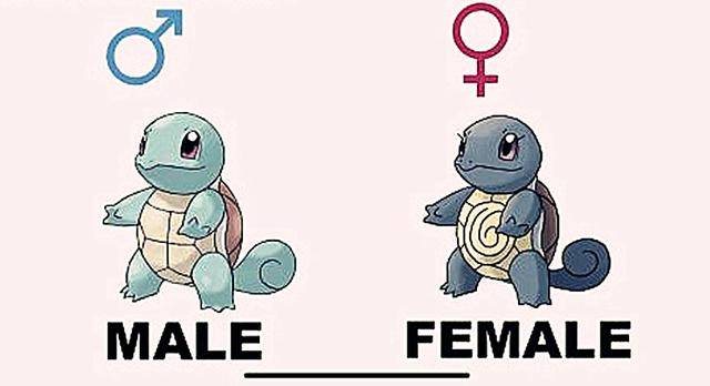 无印御三家出现雌雄差异，三条尾巴的水箭龟，雌性喷火龙好评_妙蛙种子
