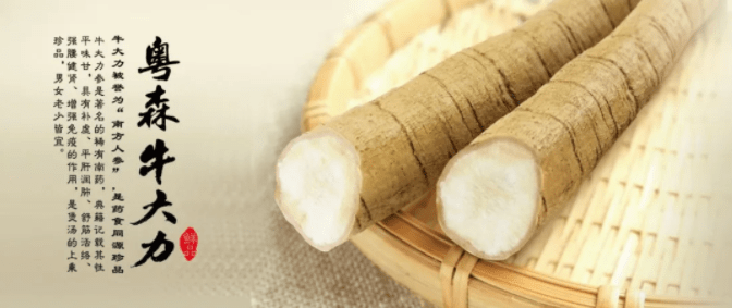 老广煲靓汤 牛大力煲汤菜谱大全