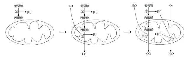 高考录取率|重磅! 今年高考录取率大约多少？1071万考生上大学、进名校难度有多大？详解…