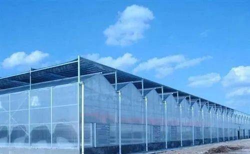 玻璃阳光温室作用