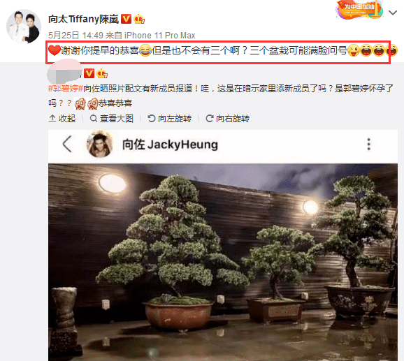 原创台媒证实郭碧婷怀孕6个月，腹部膨大隆起像皮球，向太安排香港医院生娃
