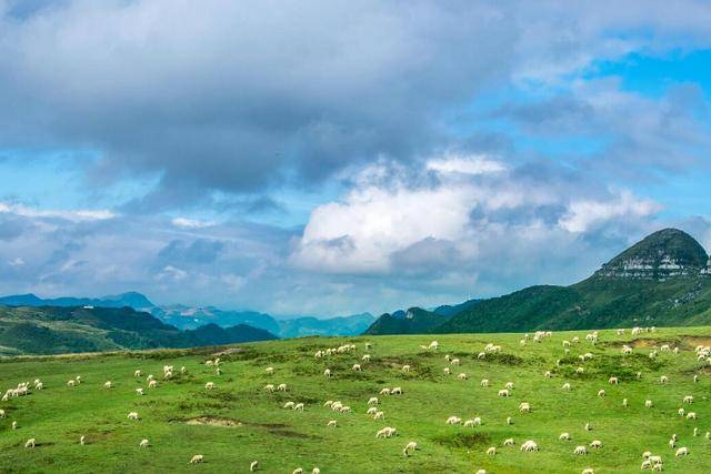 贵州最高峰韭菜坪景区,海拔有2900多米