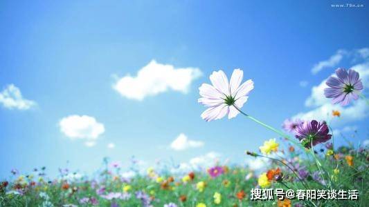 怎样让自己变得阳光 828190474b2e44a5903a422f8f805eae.jpeg