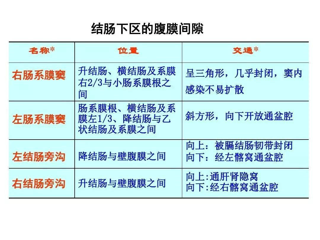 【解剖】腹膜及腹膜腔(经典讲解汇总)_肠系膜