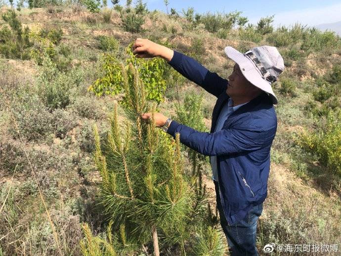 李永玺:在绿色中追求生命的高度